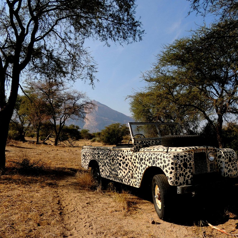 Guide with binoculars