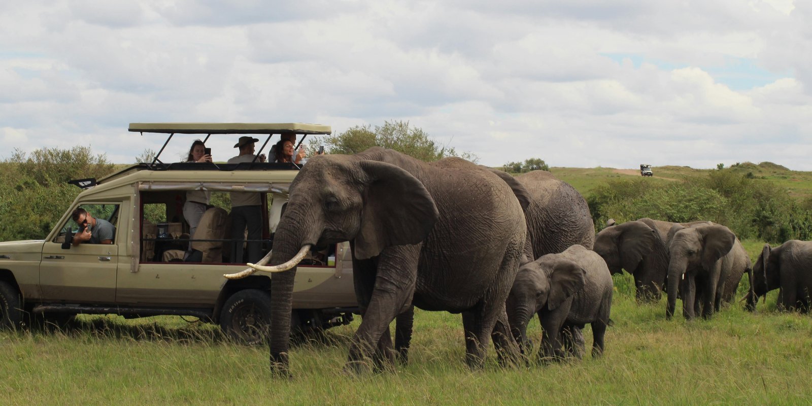 Guest viewing elephants on game drive