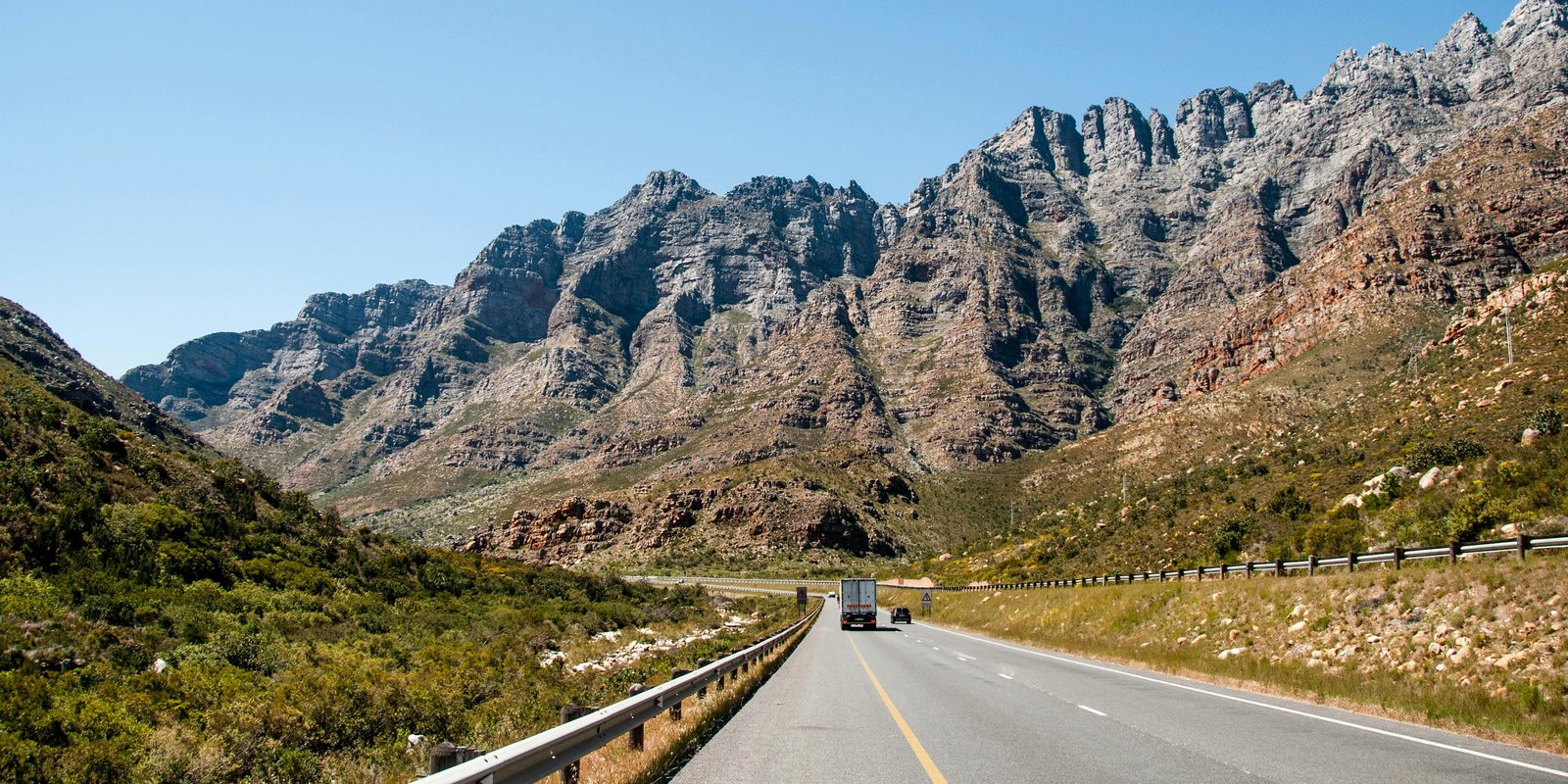 Bush landscape and vehicle
